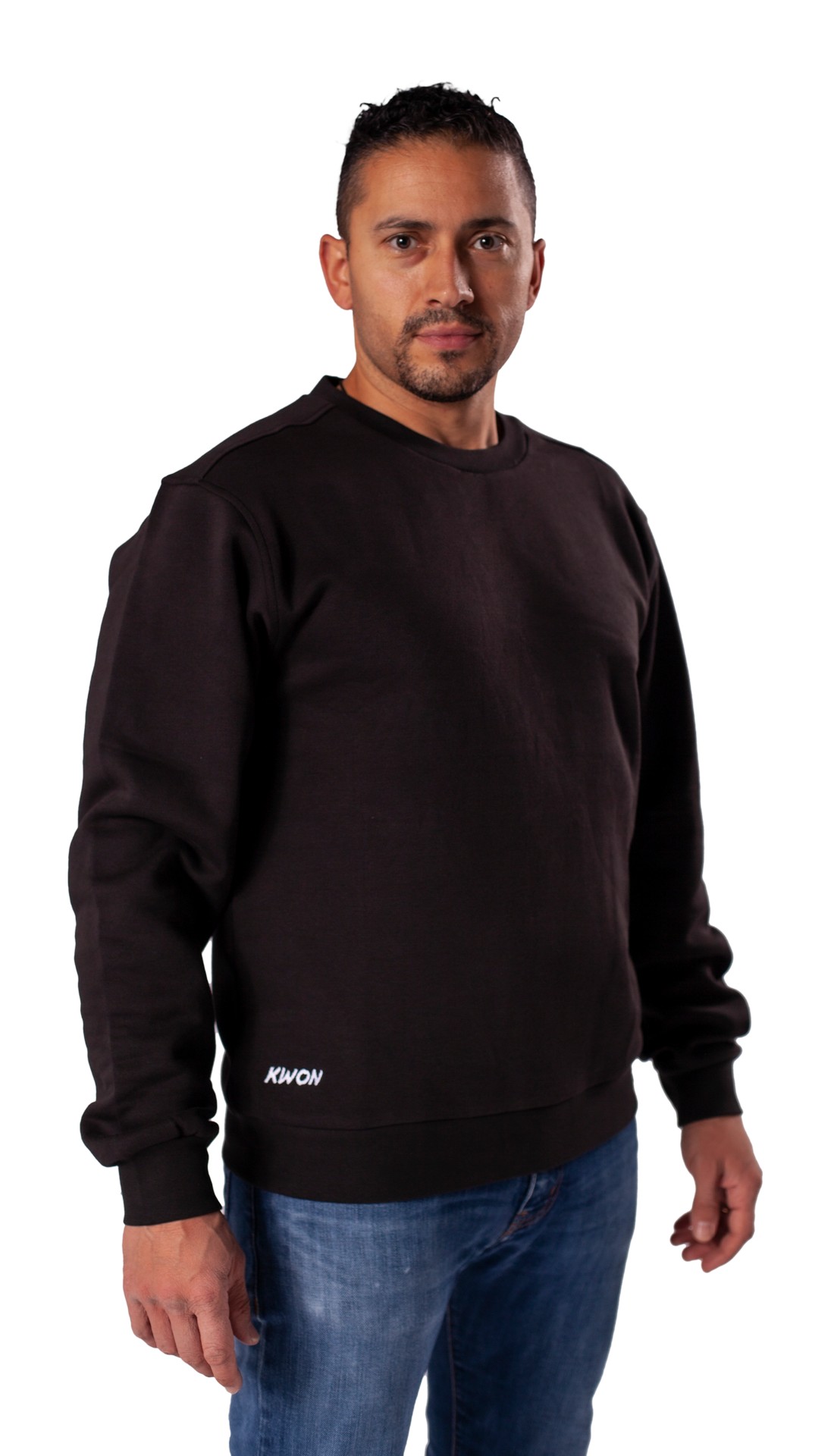 Sweatshirt / Pullover