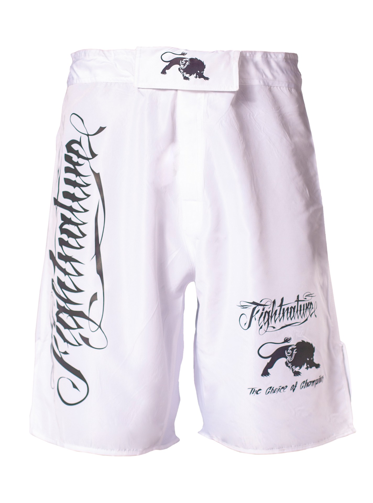 FIGHTNATURE MMA Shorts reflective print