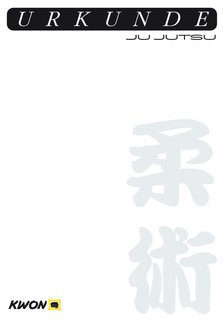 Urkunde Ju Jutsu