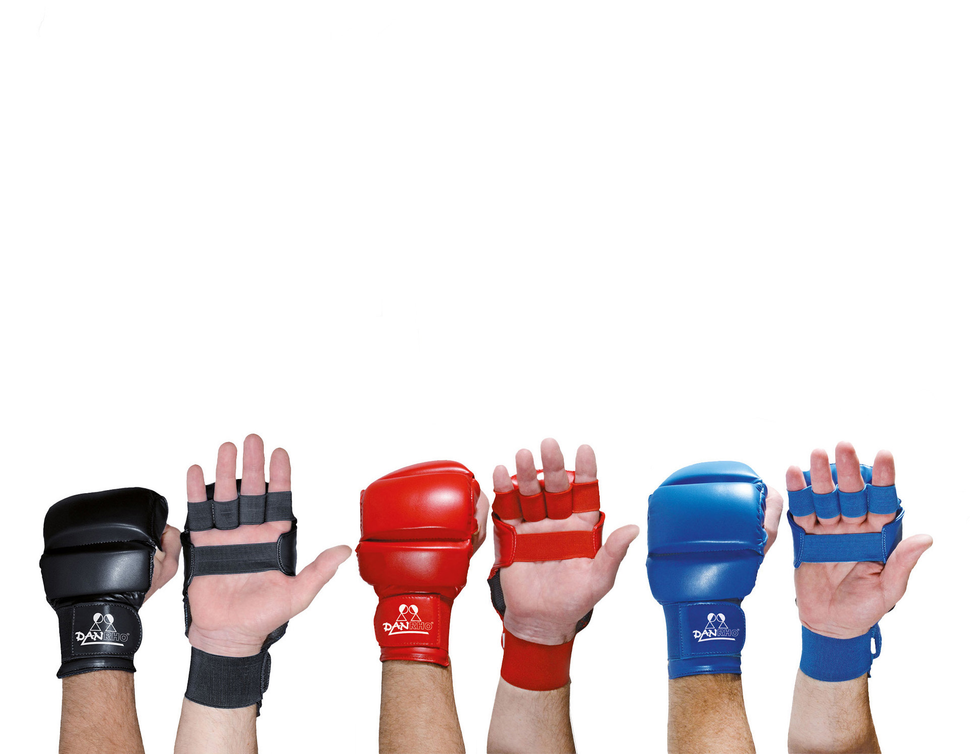DANRHO Ju Jutsu hand protector